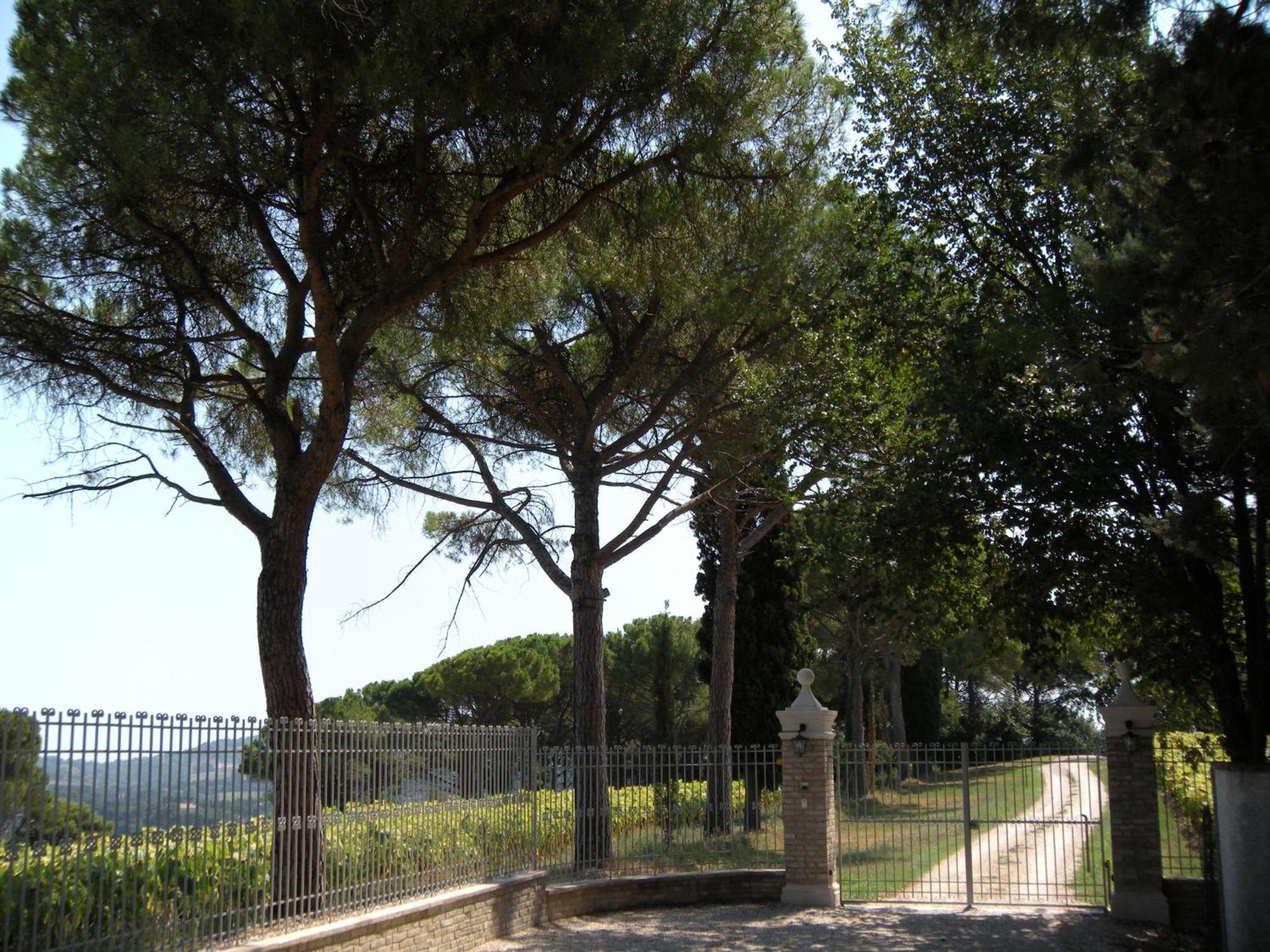 Il Pignocco Country House Santa Veneranda Extérieur photo